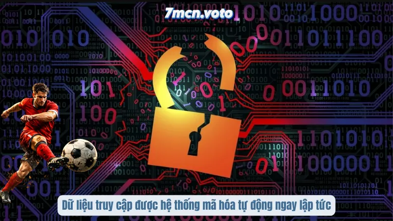 Chính Sách Quyền Riêng Tư 7MCN – Bảo Vệ Không Gian Trải Nghiệm 2 Dữ liệu truy cập được hệ thống mã hóa tự động ngay lập tức