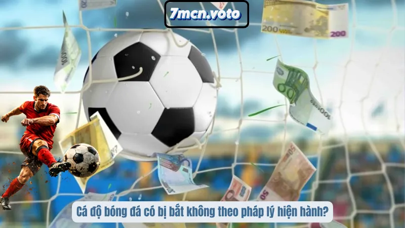 Cá Độ Bóng Đá Có Bị Bắt Không? Kiến Thức Pháp Lý Quan Trọng 1 Cá độ bóng đá có bị bắt không theo pháp lý hiện hành?
