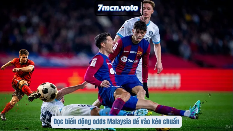 Đọc biến động odds Malaysia để vào kèo chuẩn